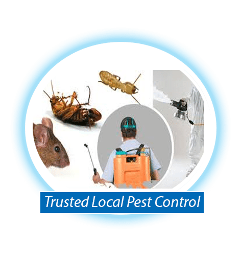 Local Emergency Pest control